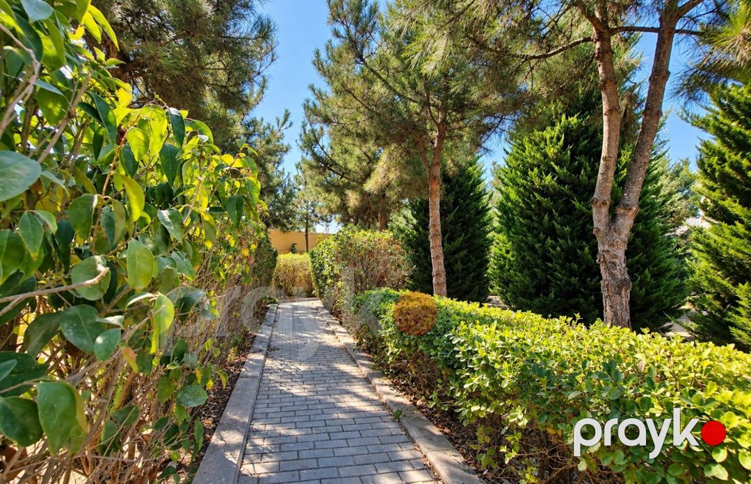 Villa, Bilgəh qəs — Ev, villa, Bakı (9)