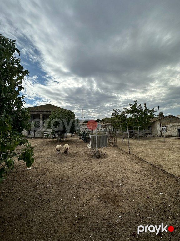 12 sot torpaq sahəsi, Xəzər r — Torpaq, Bakı (7)
