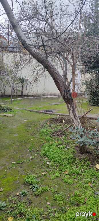 Satılır 5 otaqlı həyət evi/bağ evi 150 m² — Ev, villa, Bakı (4)