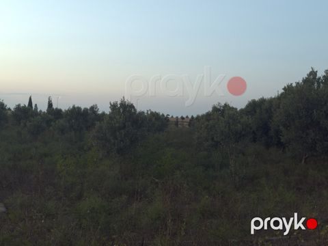 Satılır torpaq 40 sot — Bakı