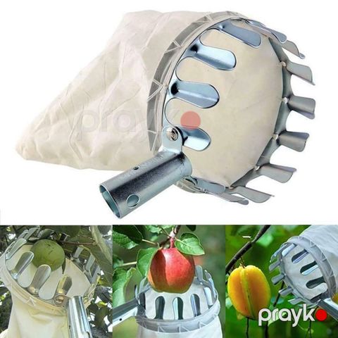 Bağ aləti meyvə dərən — Bakı