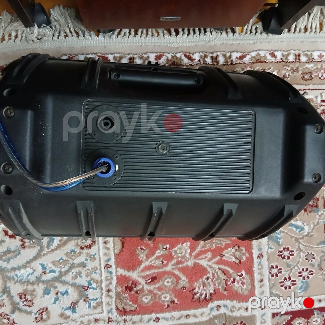 Dinamik Max pasiv 10 duym model — Səs texnikası, Bakı (7)