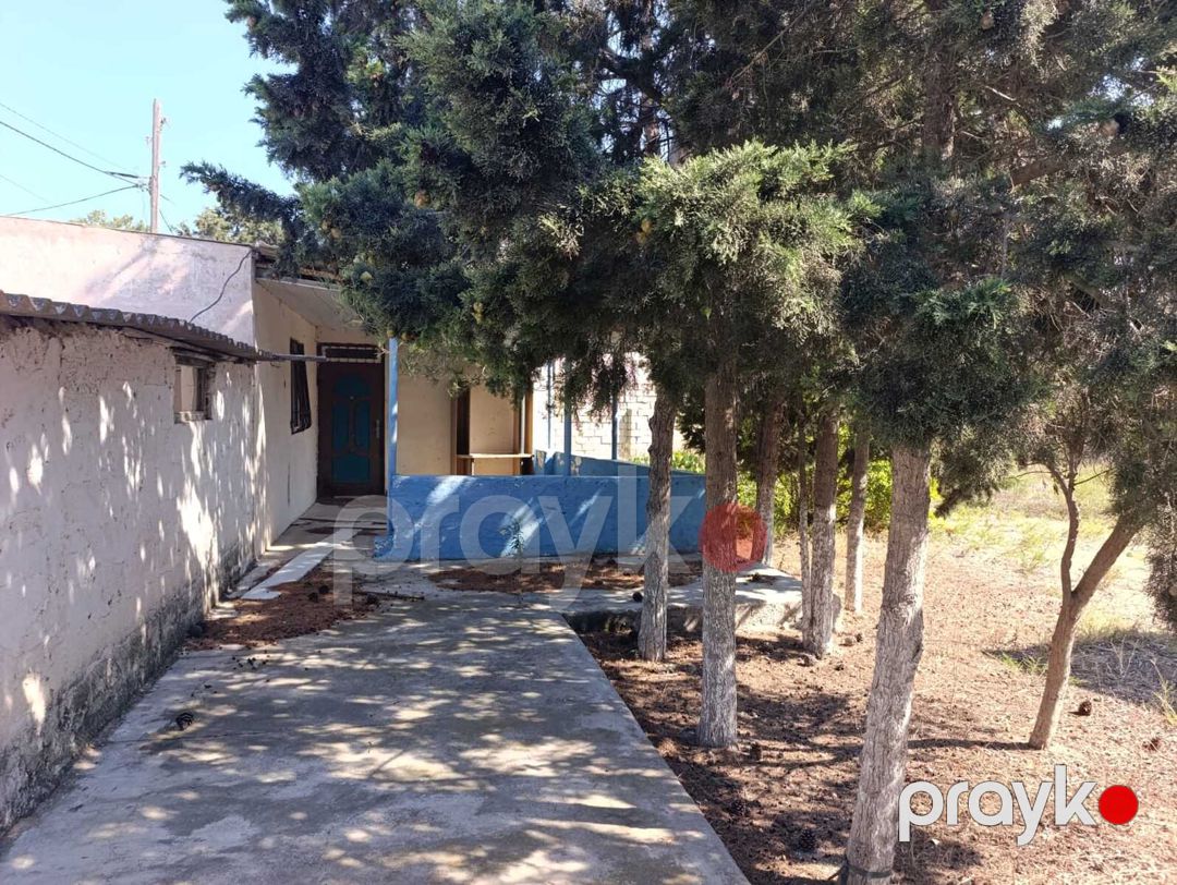 Satılır torpaq 9 sot — Torpaq, Bakı (3)