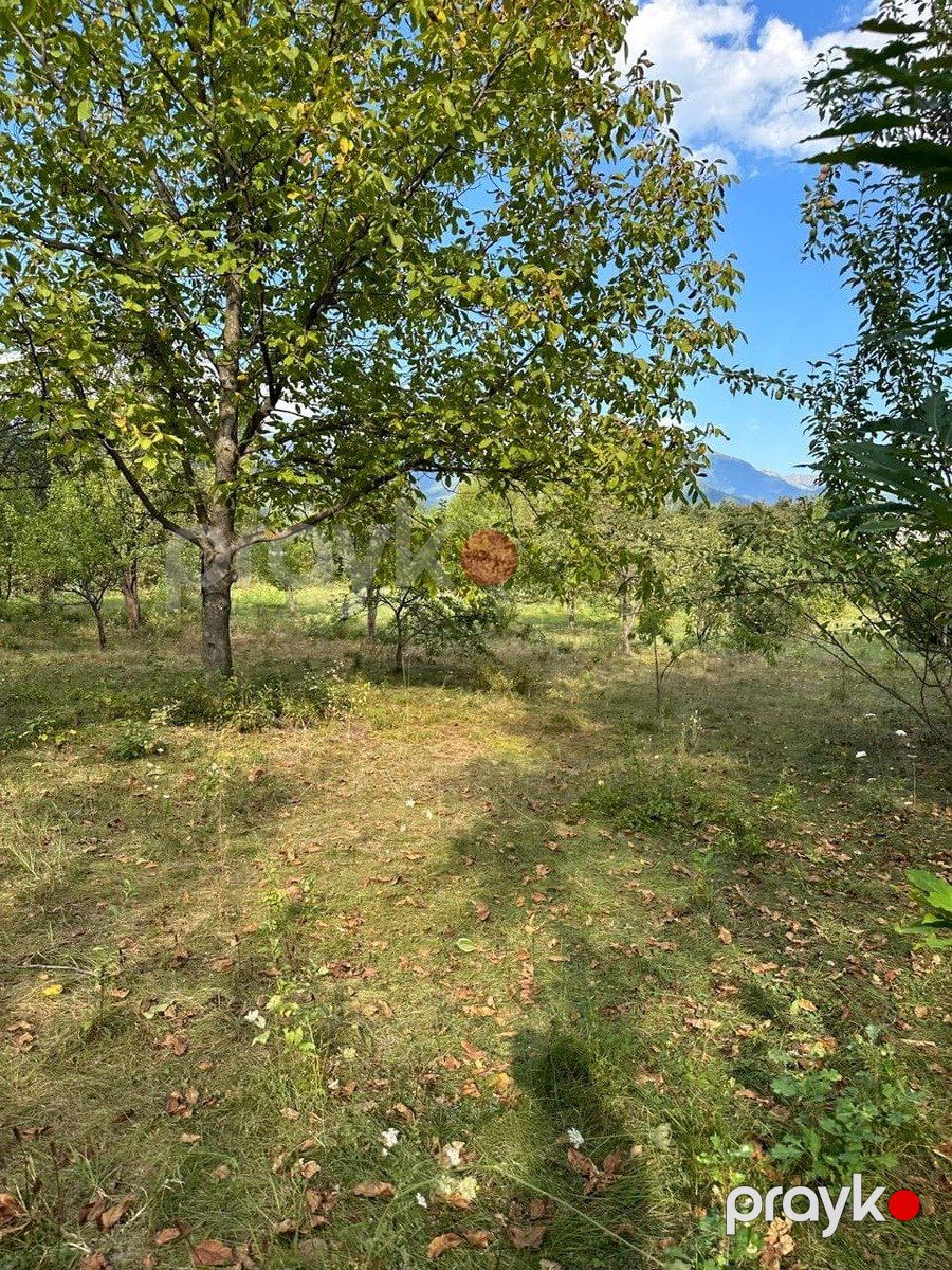 Satılır torpaq 12 sot — Torpaq, İsmayıllı (5)