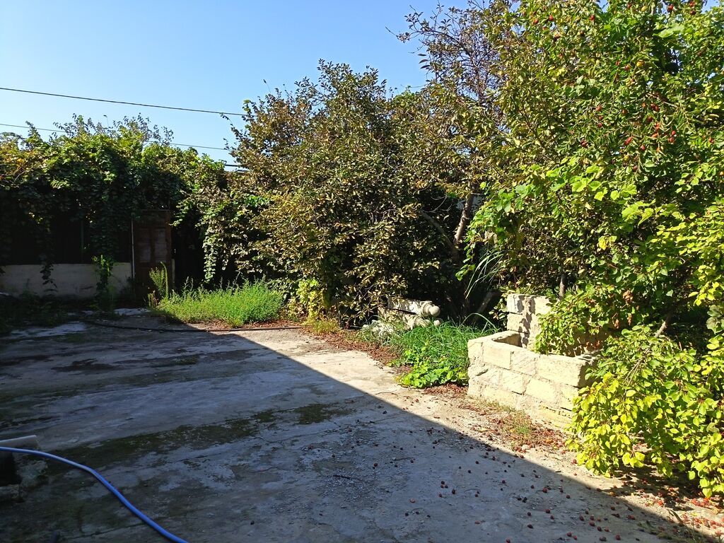 Yaşıl həyətli fərdi ev sahəsi - Geniş həyət: betonlanmış keçid və — Ev, villa, Bakı (7)