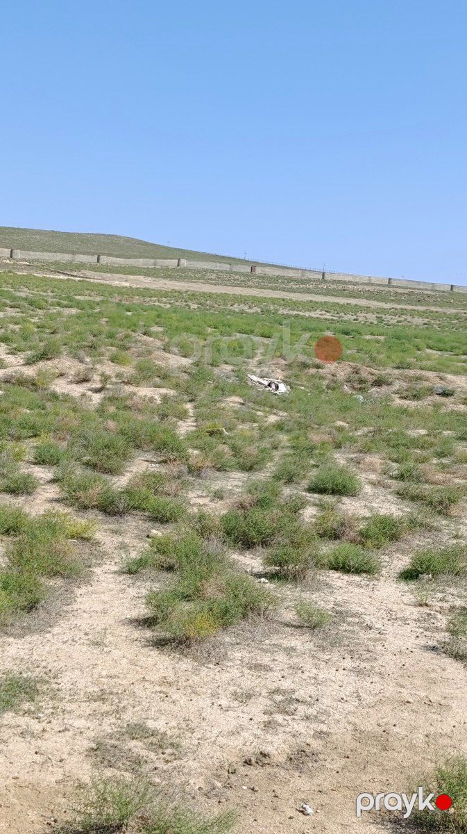 Satılır torpaq 51 sot — Torpaq, Bakı (4)