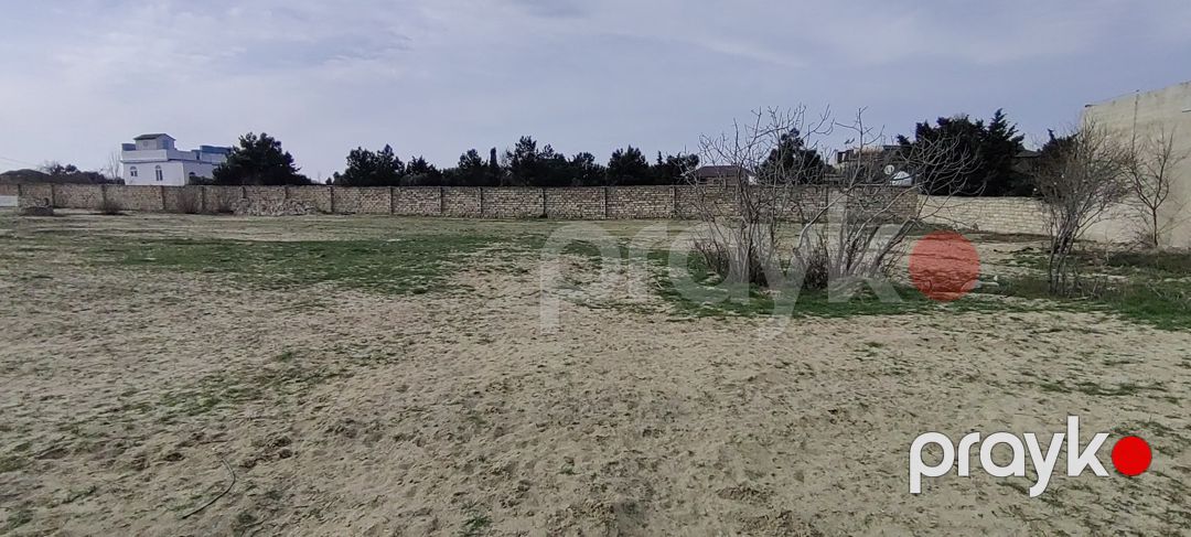 Satılır torpaq 12 sot — Torpaq, Bakı (4)