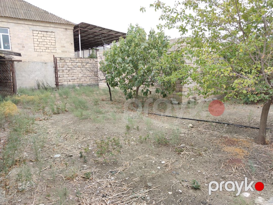 Satılır torpaq 6 sot — Torpaq, Şirvan (3)