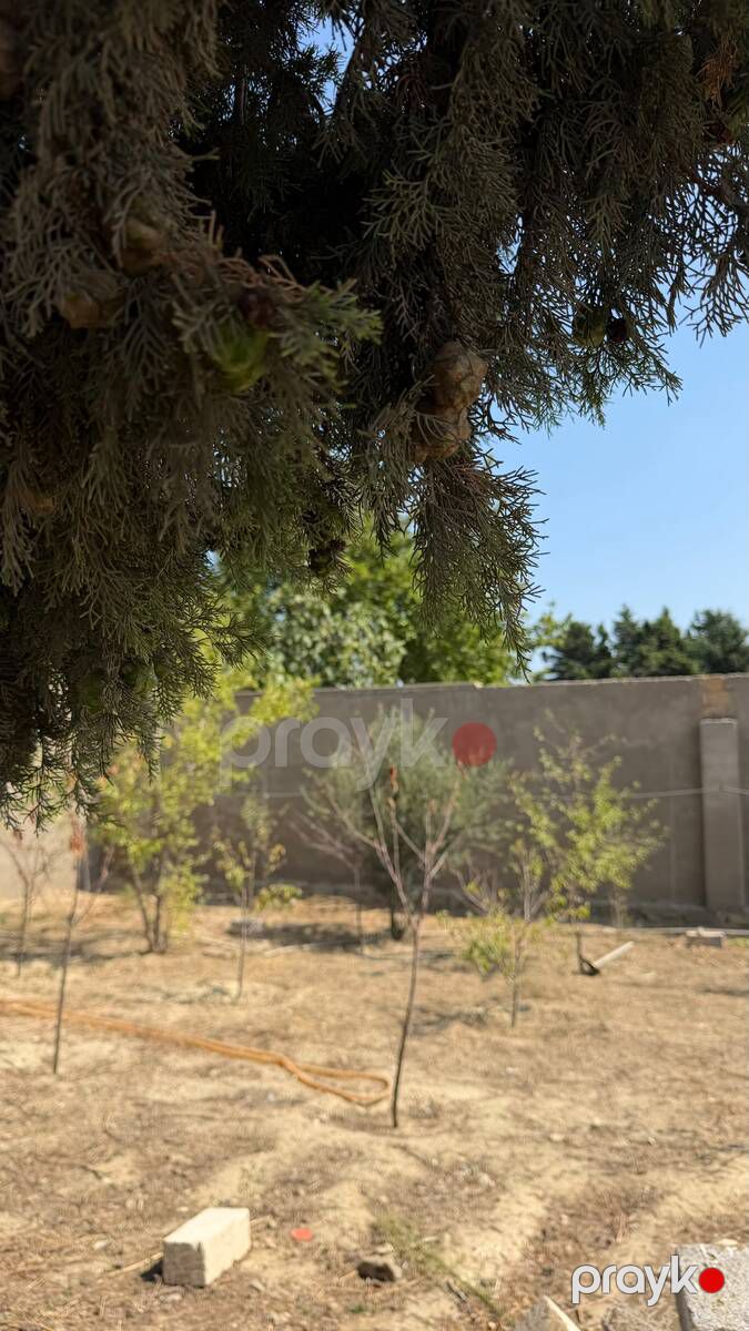 Satılır torpaq 5 sot — Torpaq, Bakı (7)