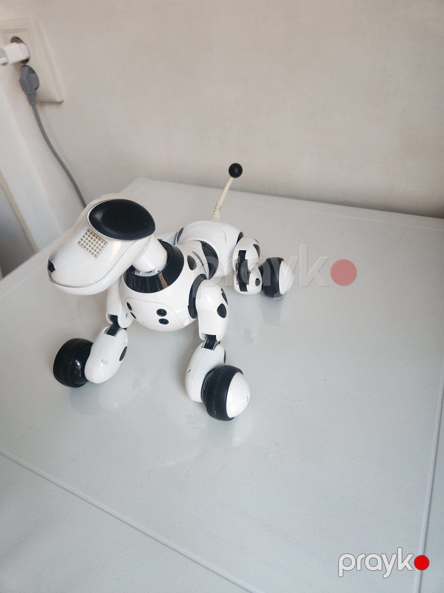 Robot it Zoomer — Oyuncaqlar, Bakı (4)