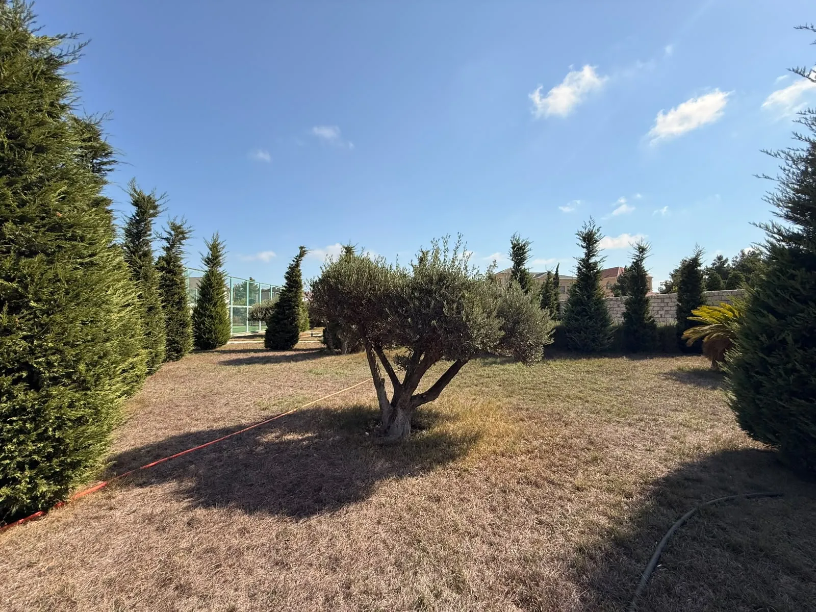 Mərdəkan, Torpaq satılır - 23.2 sot — Torpaq, Bakı (5)