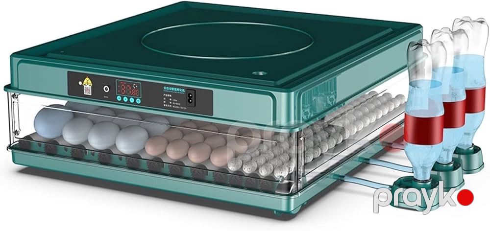 Inkubator 126 tutumlu — Mallar, Bakı (2)