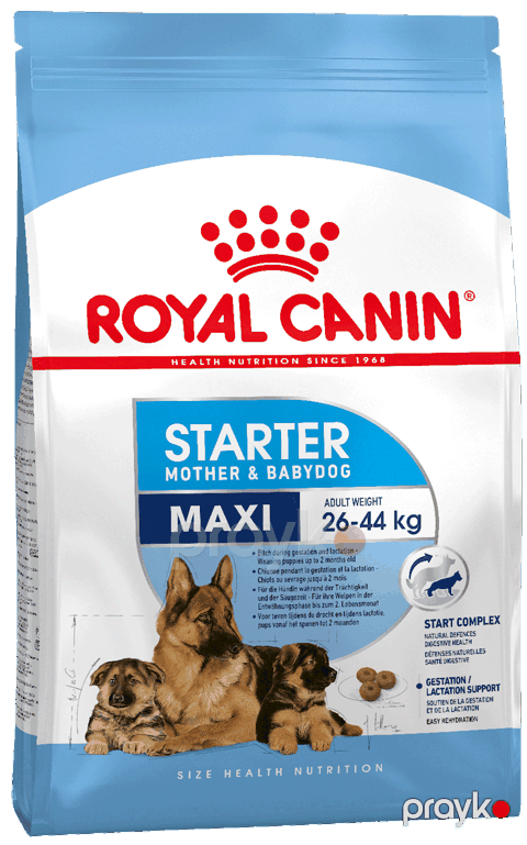 Quru yem Royal Canin Maxi Starter Mother and Babydog küçüklər və yetkin itlər üçün, çəki ilə,1 kq — Bakı