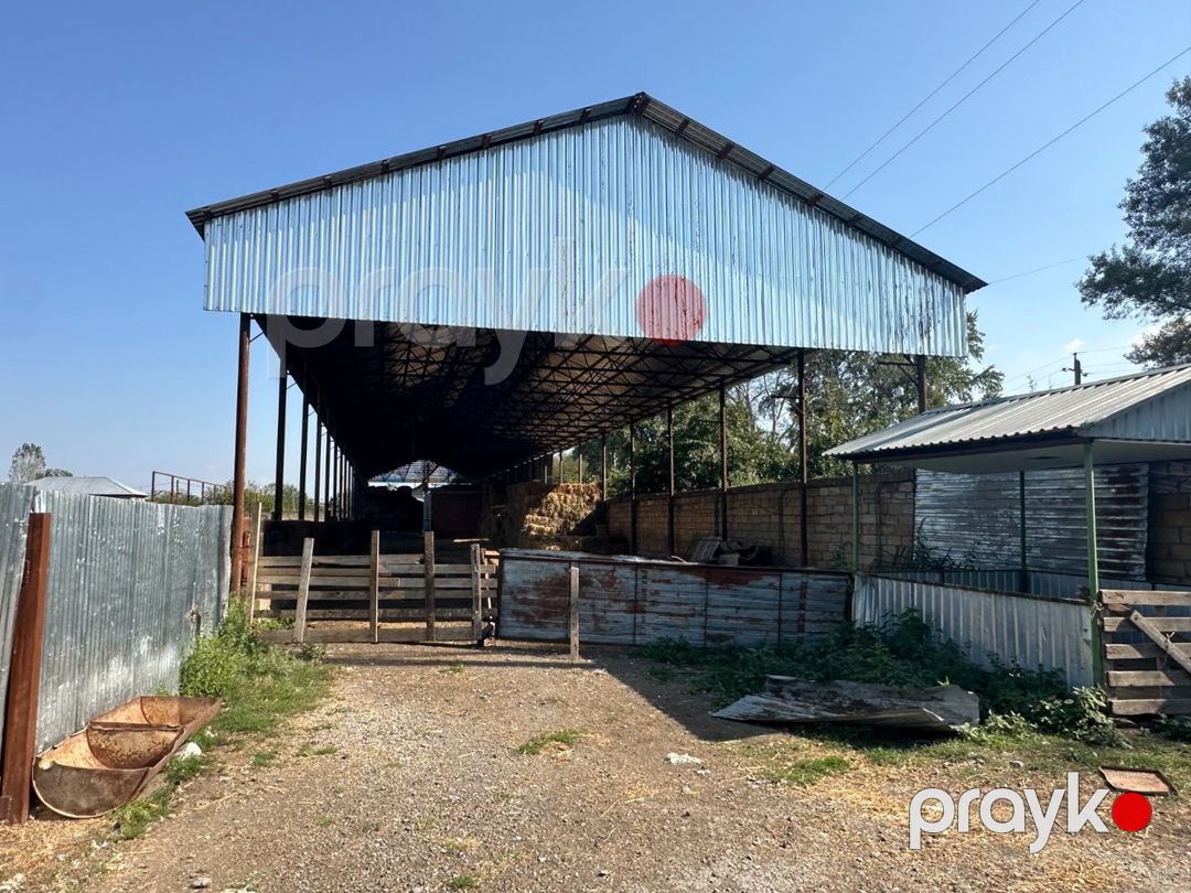 İstehsalat, 1000 m², Oğuz — Daşınmaz əmlak, Oğuz (9)