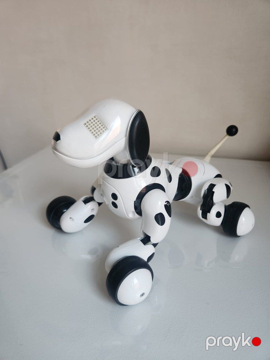 Robot it Zoomer — Oyuncaqlar, Bakı (2)