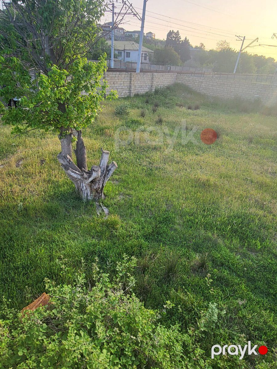 10 sot torpaq sahəsi, Novxanı qəs — Torpaq, Bakı (6)