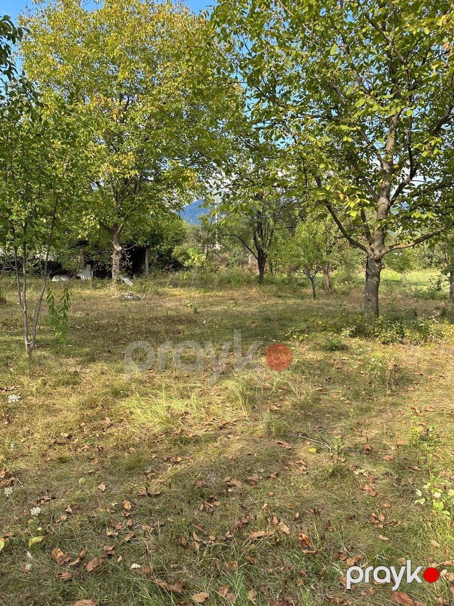 Satılır torpaq 12 sot — Torpaq, İsmayıllı (3)