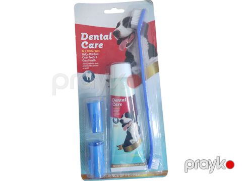 Ağız baxımı dəsti itlər üçün Dental Care — Bakı
