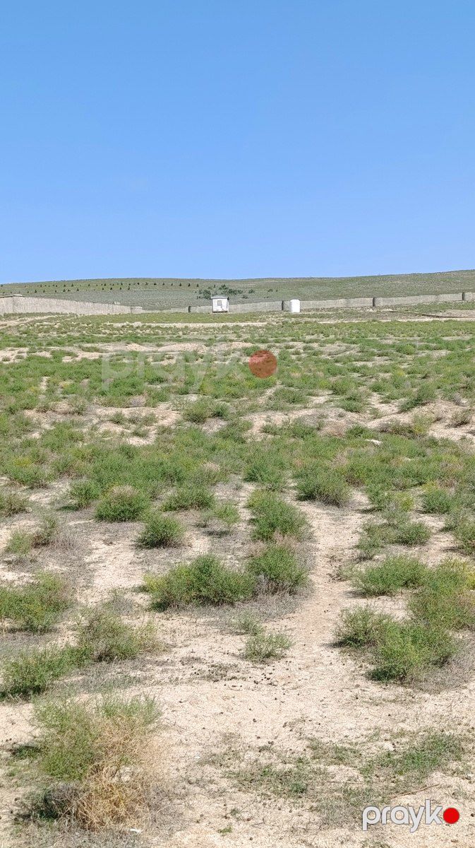 Satılır torpaq 51 sot — Torpaq, Bakı (5)