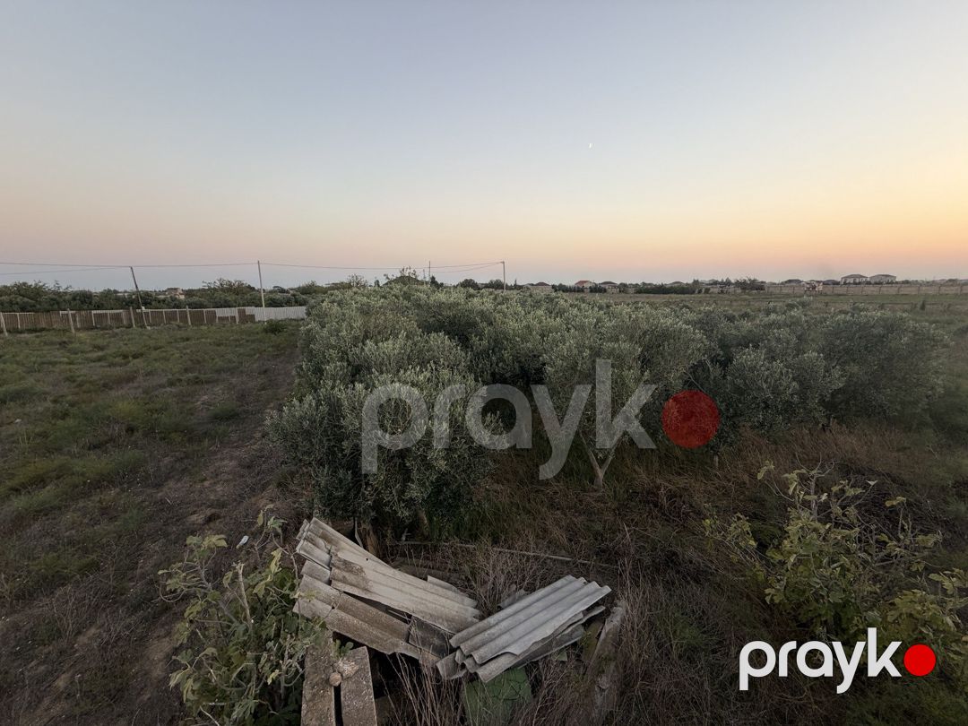 Satılır torpaq 40 sot — Torpaq, Bakı (9)