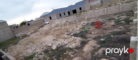 7 sot torpaq sahəsi, Binə qəs — Bakı