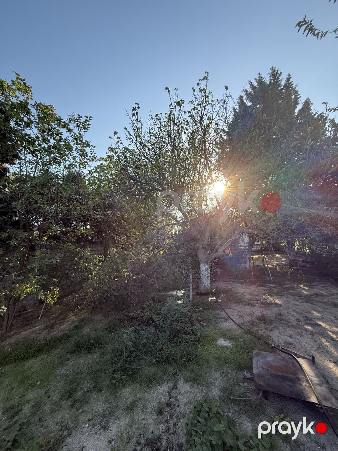Satılır torpaq 15 sot — Torpaq, Bakı (9)