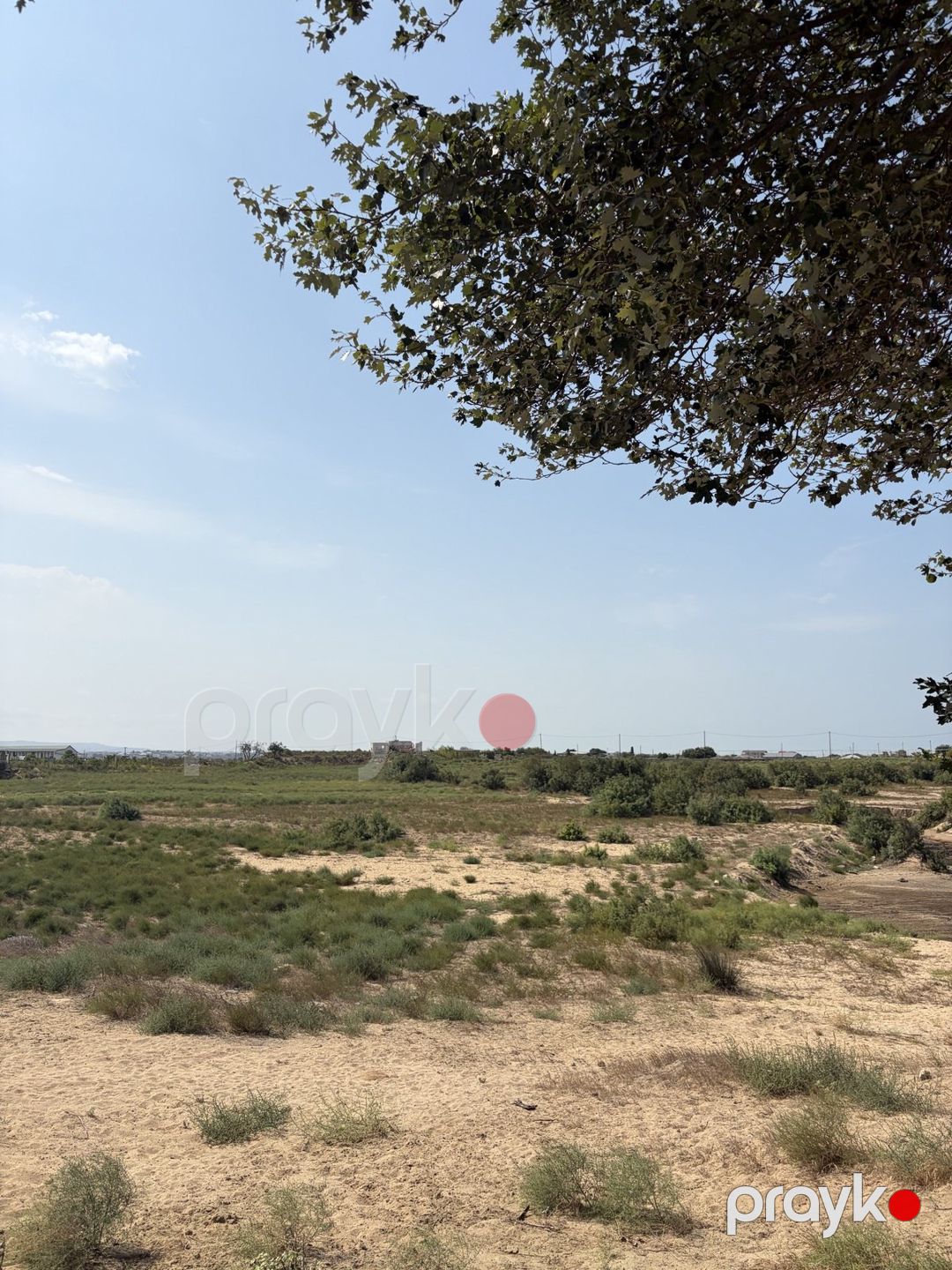 Satılır torpaq 12 sot — Torpaq, Bakı (3)