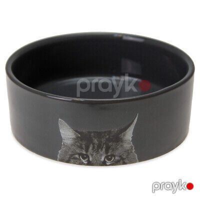 Bz ke cat miska ceramic cat antr 250 ml — Bakı