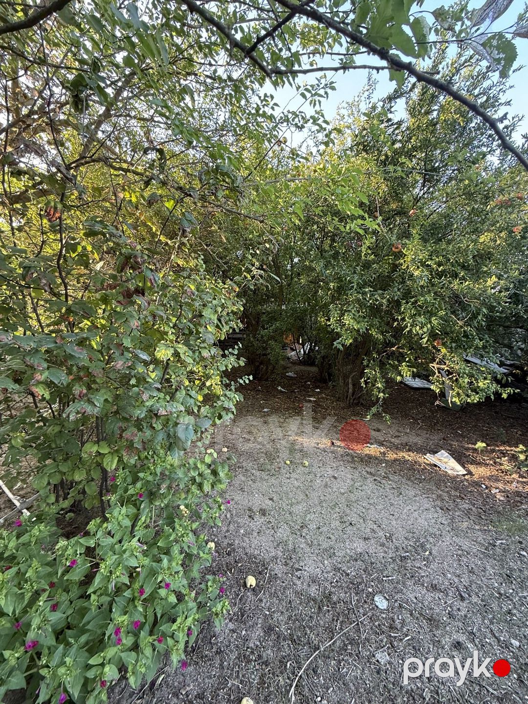 Satılır torpaq 15 sot — Torpaq, Bakı (8)
