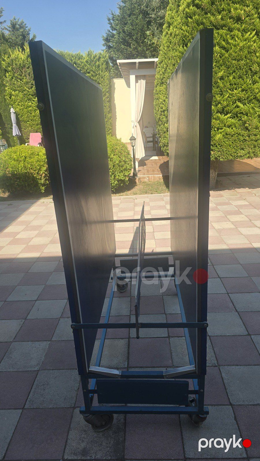 Tennis masası — İdman, hobi, istirahət, Bakı (11)