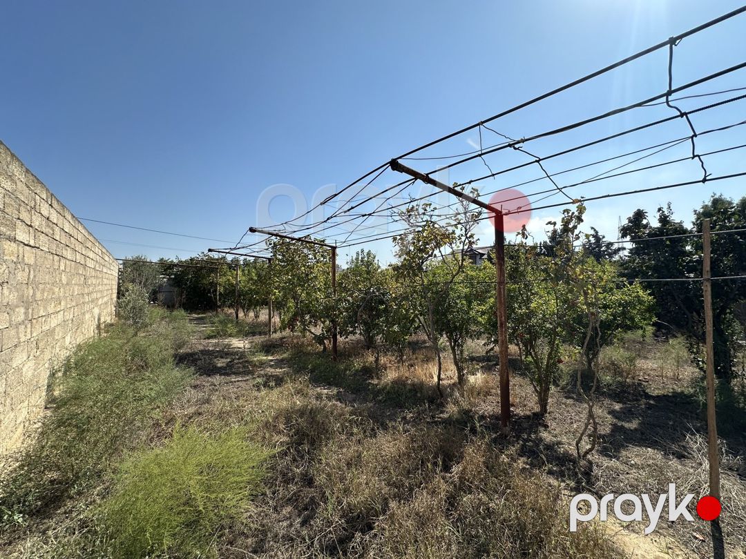 Satılır torpaq 12 sot — Torpaq, Bakı (5)