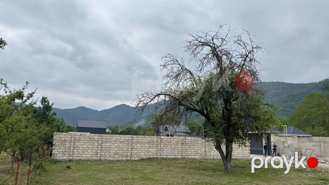 Satılır torpaq 5.3 sot — Torpaq, Qəbələ (6)
