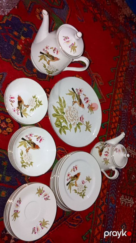 Süngərlər və fırçalar — Digah