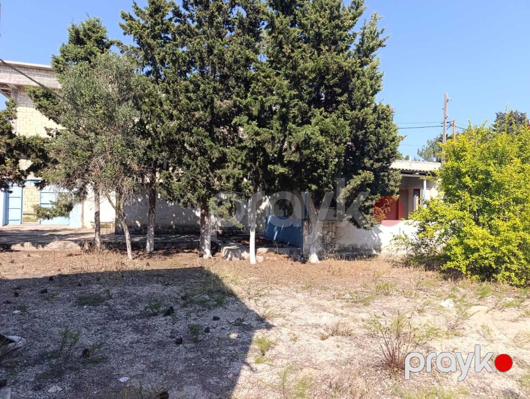 Satılır torpaq 9 sot — Torpaq, Bakı (7)