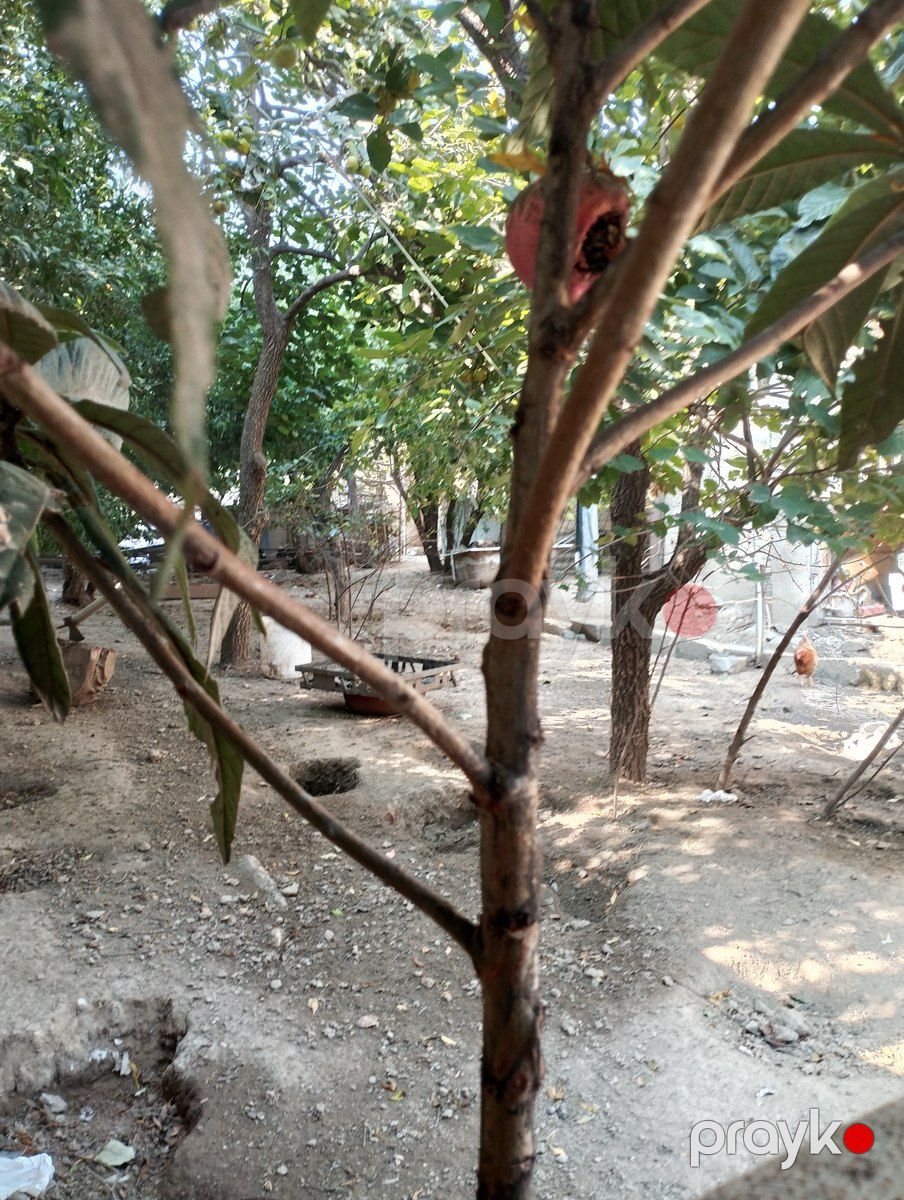 Satılır torpaq 4 sot — Torpaq, Bakı (6)