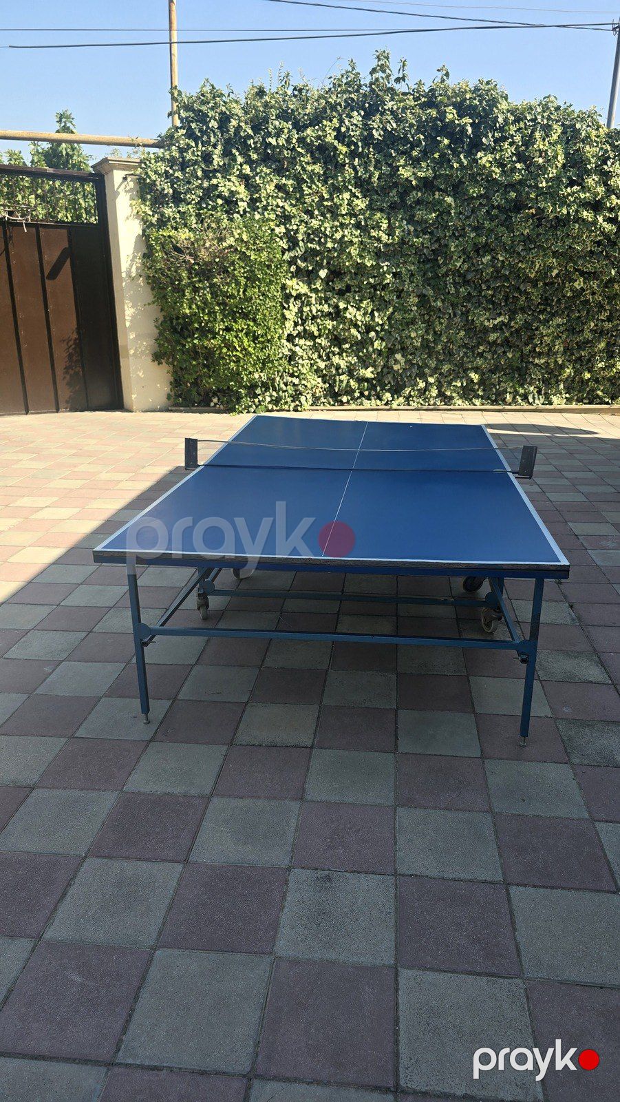 Tennis masası — İdman, hobi, istirahət, Bakı (7)