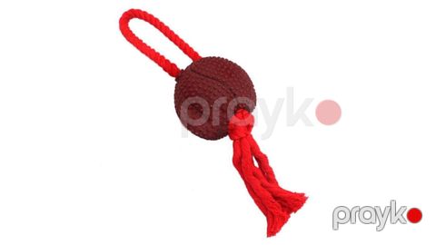 Oyuncaq itlər üçün 8732_1, kauçuk, 40 sm — Bakı