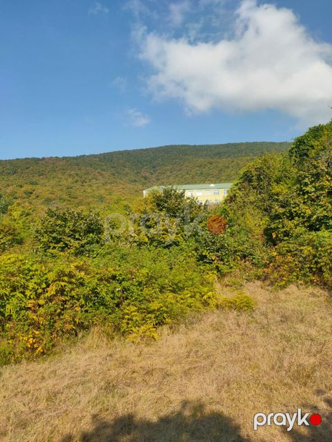 Tikinti, Mülkiyyətçi, Kupça (Çıxarış) — Oğuz