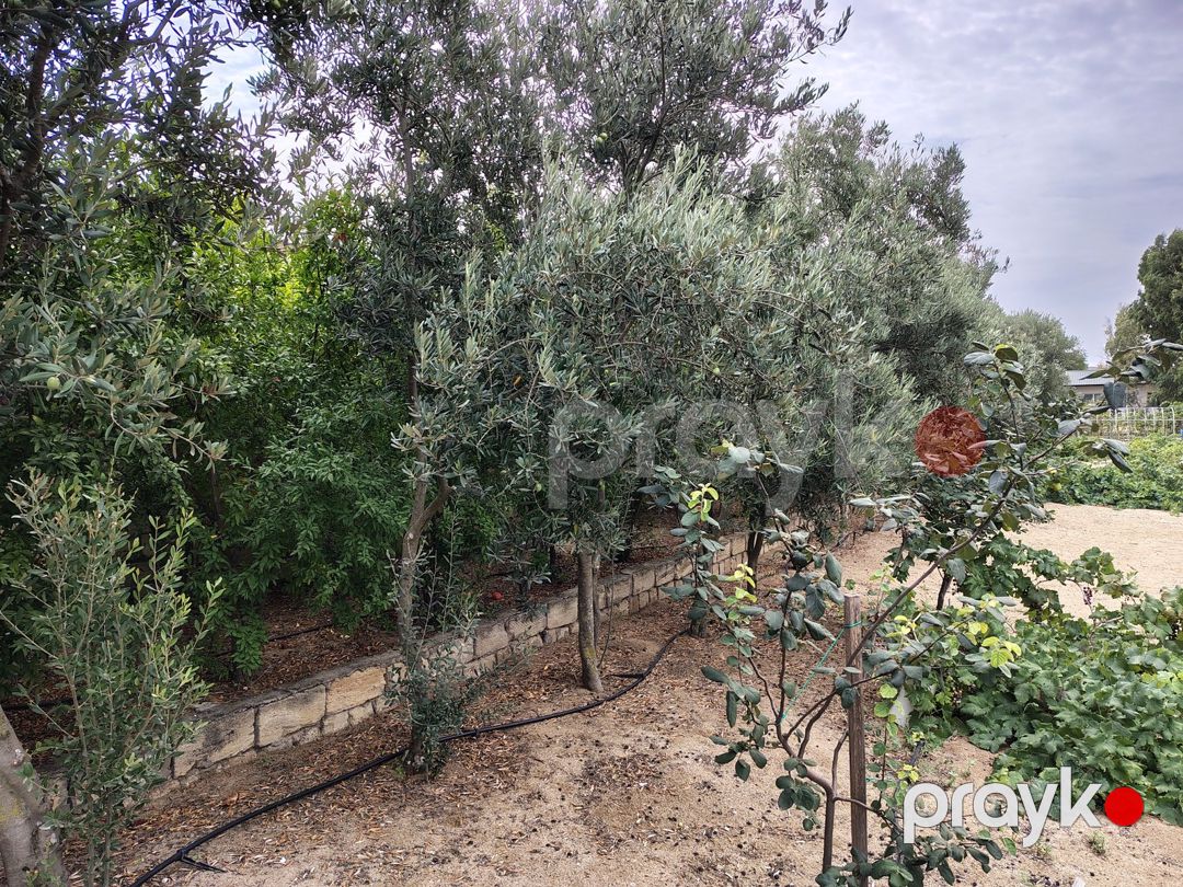 Satılır torpaq 12 sot — Torpaq, Bakı (4)