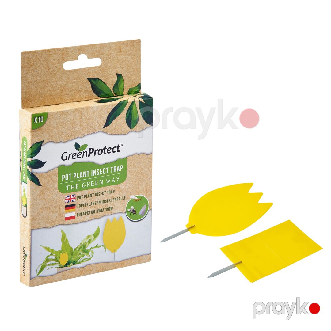 Bitkilər üçün həşərat tələsi Green Protect Pot, 10 əd — Mallar, Bakı