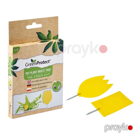 Bitkilər üçün həşərat tələsi Green Protect Pot, 10 əd — Bakı