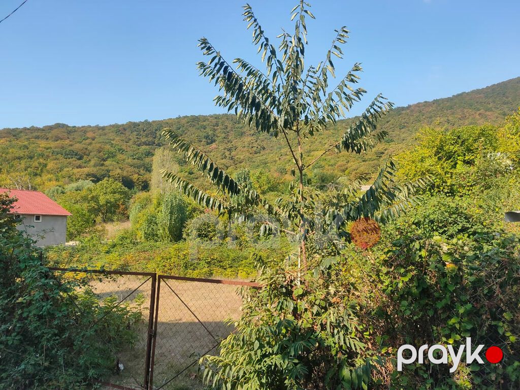 Tikinti, Mülkiyyətçi, Kupça (Çıxarış) — Torpaq, Oğuz (4)