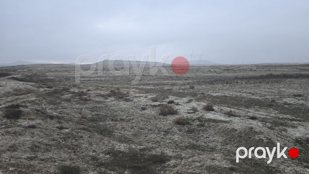 Satılır torpaq 506 sot — Torpaq, Bakı (3)