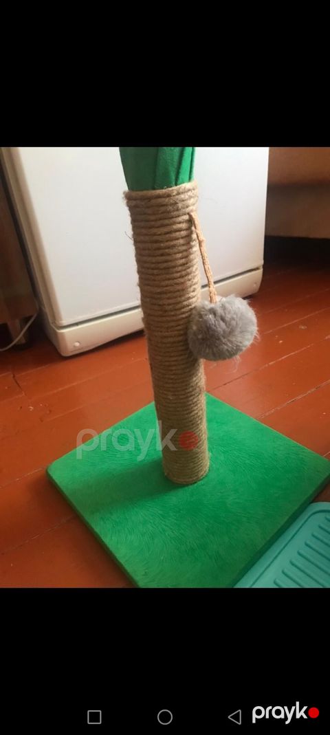 Endirim olunacaq. Pişik üçün aksesuarlar dəsti - Qapalı pişik — Bakı