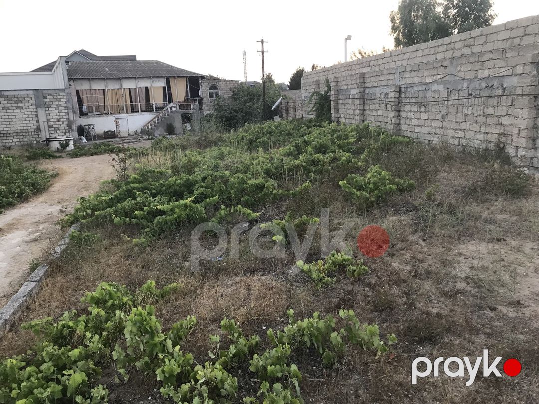 Satılır torpaq 15 sot — Torpaq, Bakı (6)
