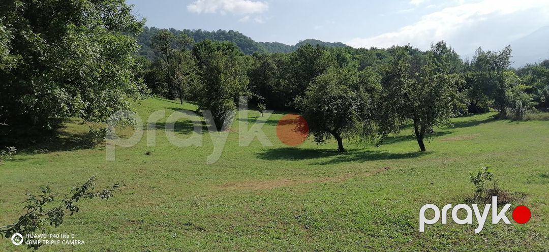 Satılır torpaq 150 sot — Torpaq, Quba (4)