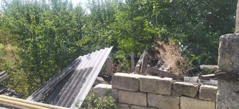 Satılır Torpaq 4 sot Şamaxı — Şamaxı