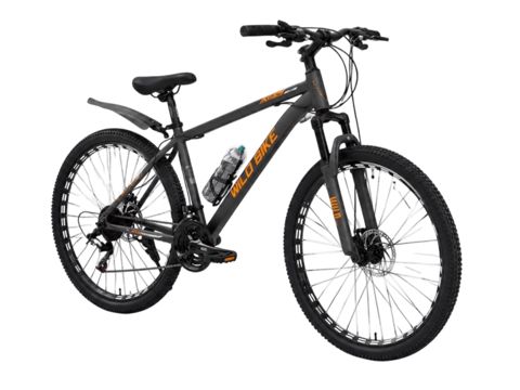 Dağ velosipedi Wild Bike, 24 Boz, Narıncı — Bakı