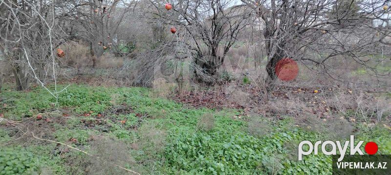 Xətai rayonunda Torpaq Satılır, 3 sot — Torpaq, Bakı (4)
