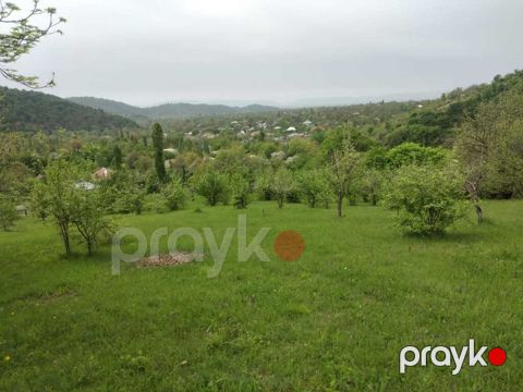 Satılır torpaq 50 sot — Qəbələ